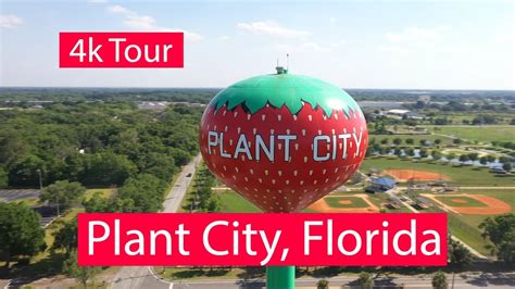 Plant City, Florida - 4k Aerial & Ground Level Tour - YouTube