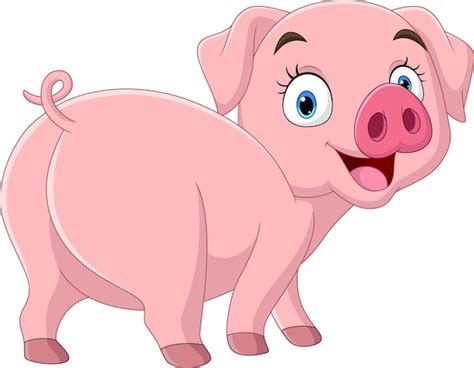 Funny Pig Cartoons