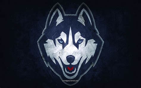 Download wallpapers UConn Huskies, American football team, blue ...