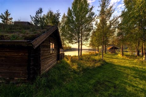 Vestby Hedmark Fylke, Norway, Trees, Grass, HD Wallpaper | Rare Gallery