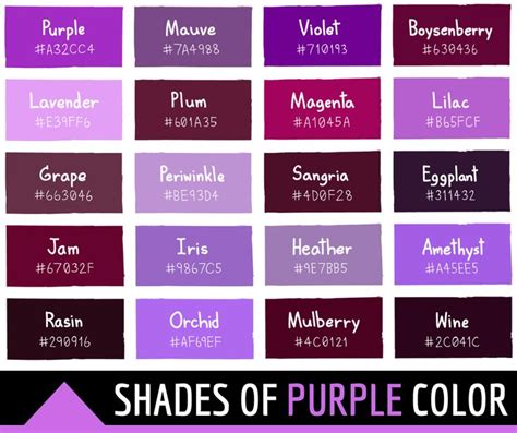 Shades of Purple: A Mauve Color Palette