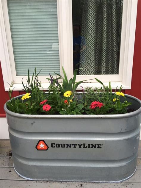 Our CountyLine stock tanks make the PERFECT container garden. Suzanne's flowers are off to a ...