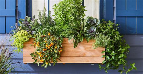 This Window Box Plan Will Supply You with Fresh Veggies and Herbs This Summer | Window box ...