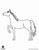 Best Horse Coloring Pages  Little Sprout Art Learning Lab sketch template