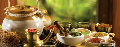 Ayurvedic Center - Ayurveda Retreat India