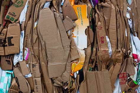 Paper/Cardboard Recycling by Cardella Waste