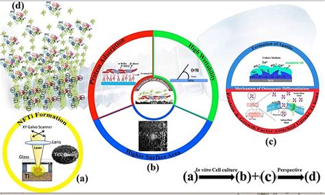 Plasma ionization-based 3-D titania nanofiber-like webs to enhance bioreactivity and ...