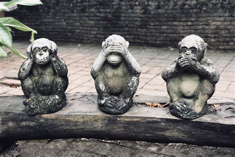 three wise monkeys statuette on log at daytime photo – Free Statue Image on Unsplash