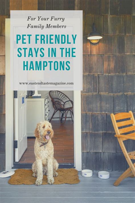 Pet Friendly Hotels Across the Hamptons | Pet friendly hotels, The ...