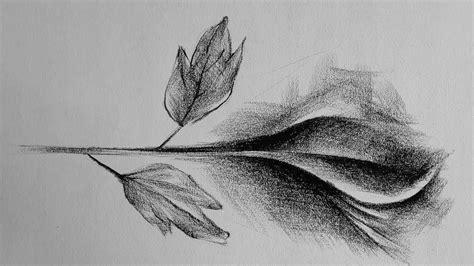 Plant With Leaf Pictures Pencil Shading - YouTube