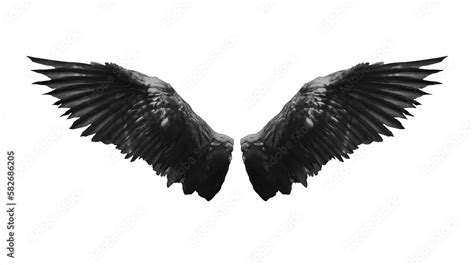 Angel wings isolated on white background Stock Photo | Adobe Stock