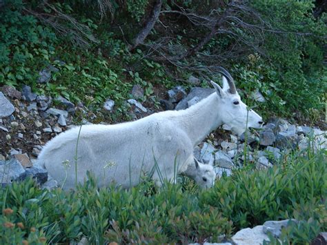 Mount Rainier National Park — Does winter make you want to stay home or head out...