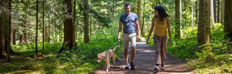 24Petwatch: Discover the best dog-friendly hiking trails in US and Canada