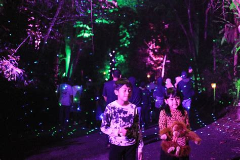 Disambut Semarak! Parade Hutan Menyala ‘Luminous Journey’ di Taman Safari Bogor Diserbu Wisatawan