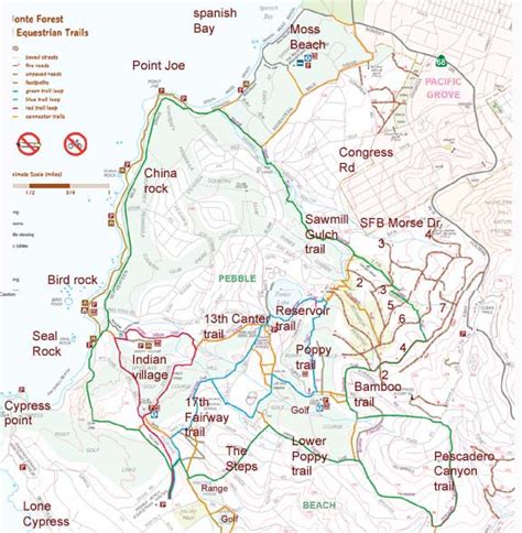 Hiking the 17 Mile Drive and Del Monte Forest in Carmel, California