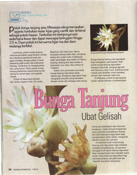 bunga tanjung scientific nama - Stephanie Gill