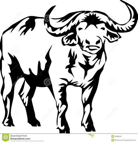 Buffalo Drawing Step By Step | Free download on ClipArtMag