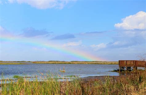 A peek at Anahuac National Wildlife Refuge | Liberty Vindicator