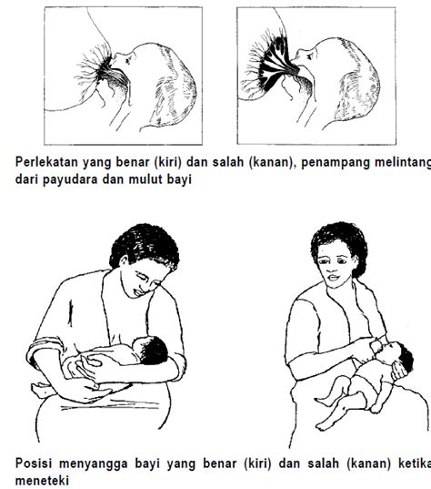 SEPUTAR IBU MENYUSUI: LANGKAH-LANGKAH MENYUSUI BAYI PALING BAIK dan BENAR