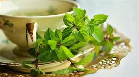 Five Easy Ayurvedic Herbal Teas to Boost Your Immunity