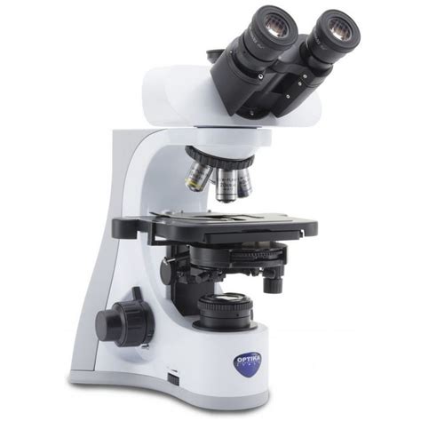 Optika B-510PH, phase-contrast, 1000X, IOS microscope