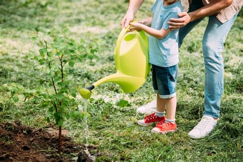 How Much Should You Water a Newly Planted Tree? - Boutte Tree