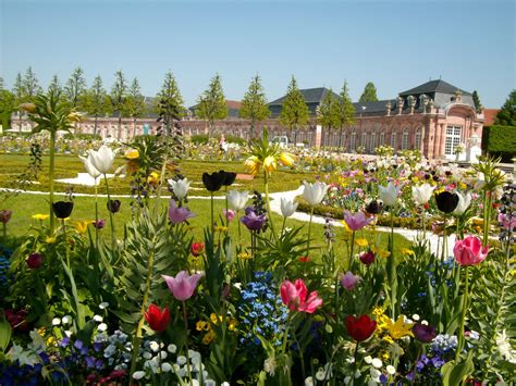 Gardening in Mannheim, Germany: A visit to the Schwetzingen palace gardens