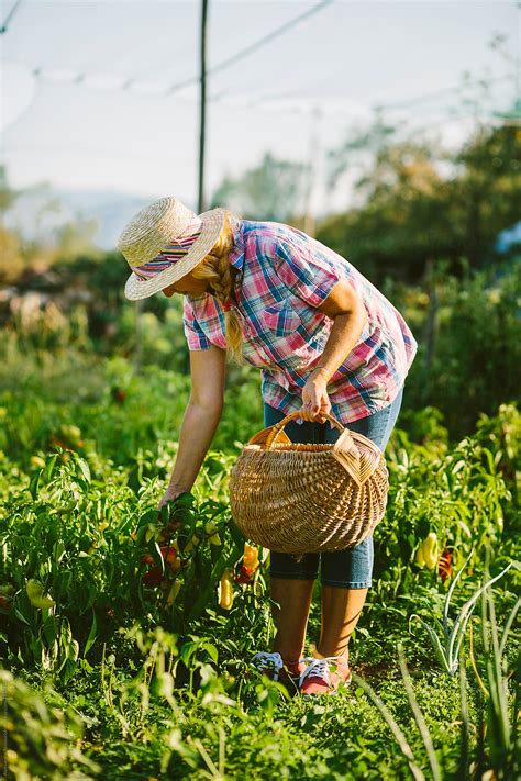 Mature woman working in the farm by Aleksandar Novoselski - Farm, Farming - Stocksy United