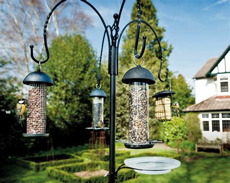 Best Bird Feeder Poles [2022's Top 5 Reviewed] - Birdwatching Buzz