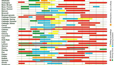 Vegetable Growing Seasons - Vege Choices