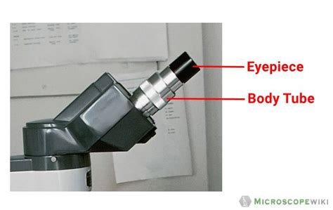 Parts Of The Microscope (Labeled Diagrams) Simple And, 44% OFF