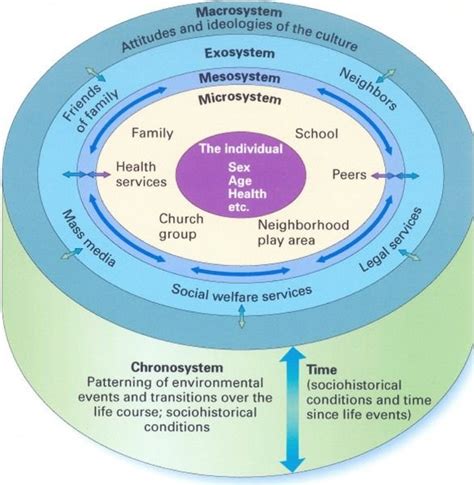 Bronfenbrenner Ecological Theory Diagram | Ecological systems theory, Systems theory, Ecological ...