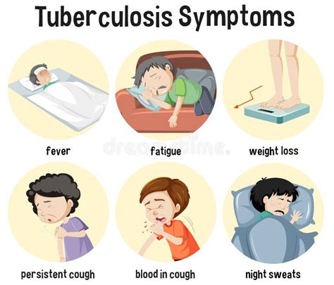 Tuberculosis Symptoms And Measures Infographics Vector Image