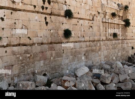 Large pieces of rock, believed to be ruins from the second Jewish Temple destroyed by the Romans ...