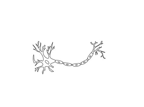 Neuron - Black And White Clip Art at Clker.com - vector clip art online ...