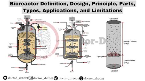 Bioreactor Definition, Design, Principle, Parts, Types, Applications, and Limitations ...