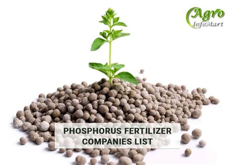 Phosphorus Fertilizer Manufacturers Companies In India