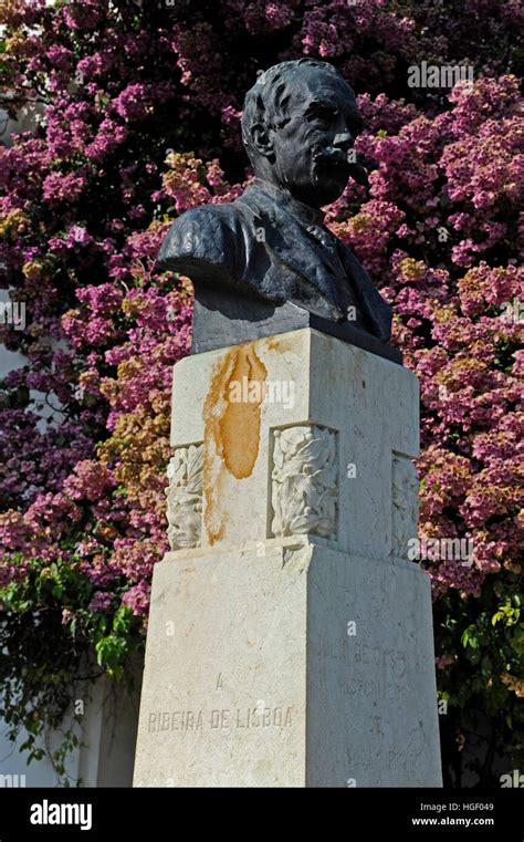 Julio de Castilho statue, Igreja de Santa Luzia e Sao Bras, miradouro ...