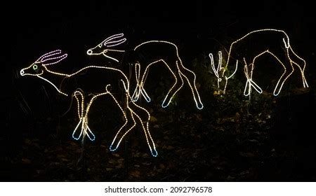 61 Zoo Lights Portland Images, Stock Photos & Vectors | Shutterstock