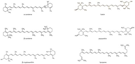 Antioxidants | Free Full-Text | Antioxidant and Anti-Inflammatory ...