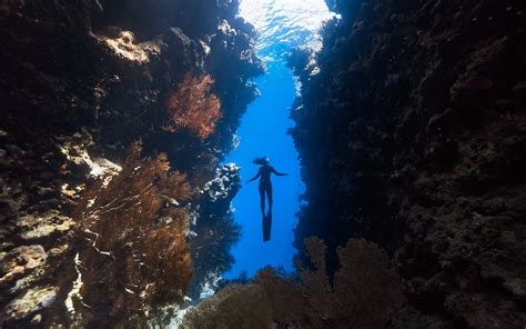 Snorkeling in St Maarten - Cheapest Vacations | Cool Places To Travel