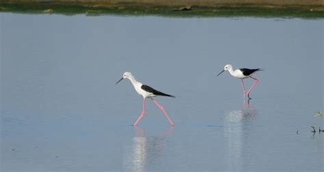 Ghana's Incredible Wildlife in 20 Photos