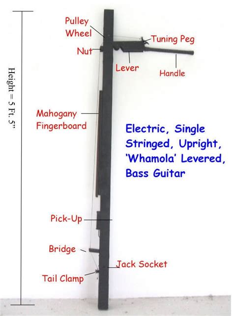 Experience the Funk-Jazz Vibes with the Whamola Bass