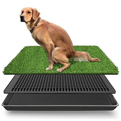 I Tested the Best Dog Potty Tray Large - Here's Why It's a Game Changer for Pet Owners!