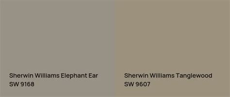 Sherwin Williams Elephant Ear SW 9168: 9 real home pictures | Elephant ears, Elephant, Sherwin ...