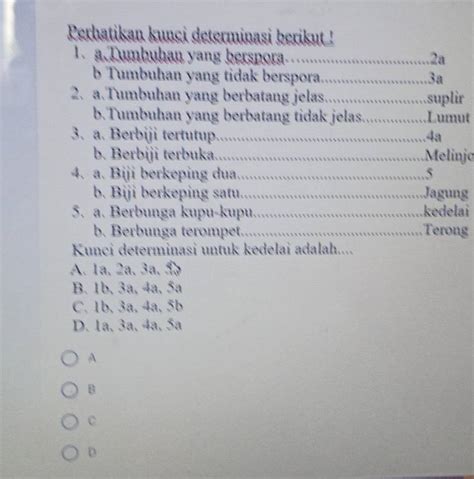 Solved: Perhatikan kunci determinasi berikut ! 1. a. Tumbuhan yang berspora............ . 2a b ...