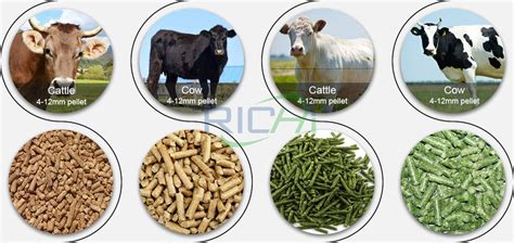 Cattle Feed Pellet Machine: How to make cattle feed? Cattle feed formula