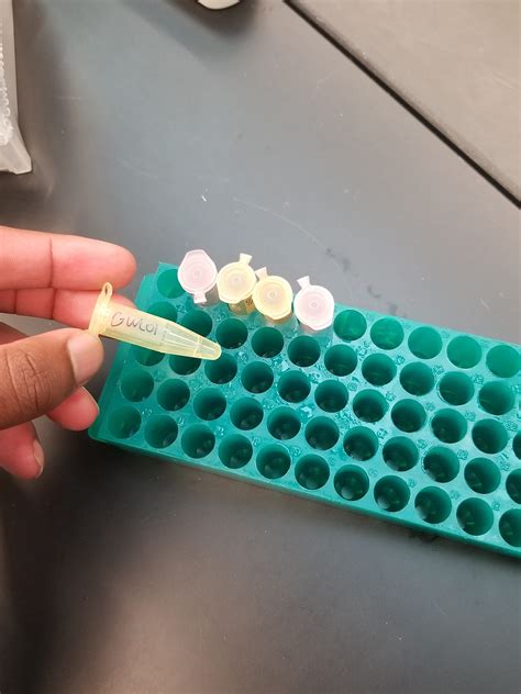 Plant DNA Extraction II | Molecular Ecology Lab Notebook