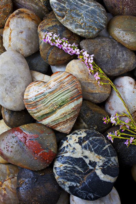 Heart Stone With Wild Flower Photograph by Garry Gay