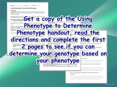 Using Phenotype Genotype to determine. - ppt download